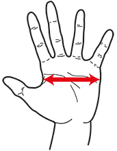 Blitz Hand Size Chart